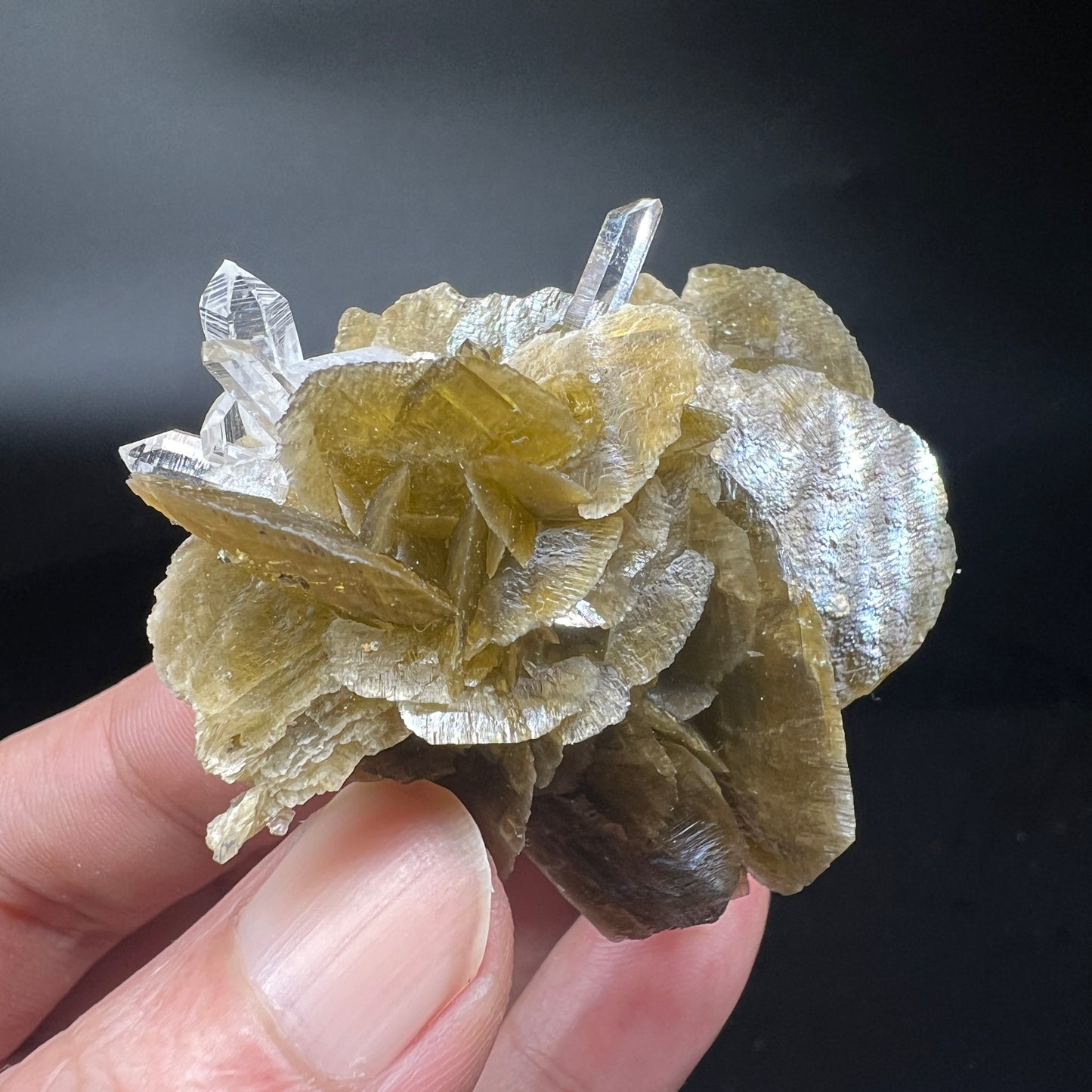 Siderite + Quartz (Free shipping)