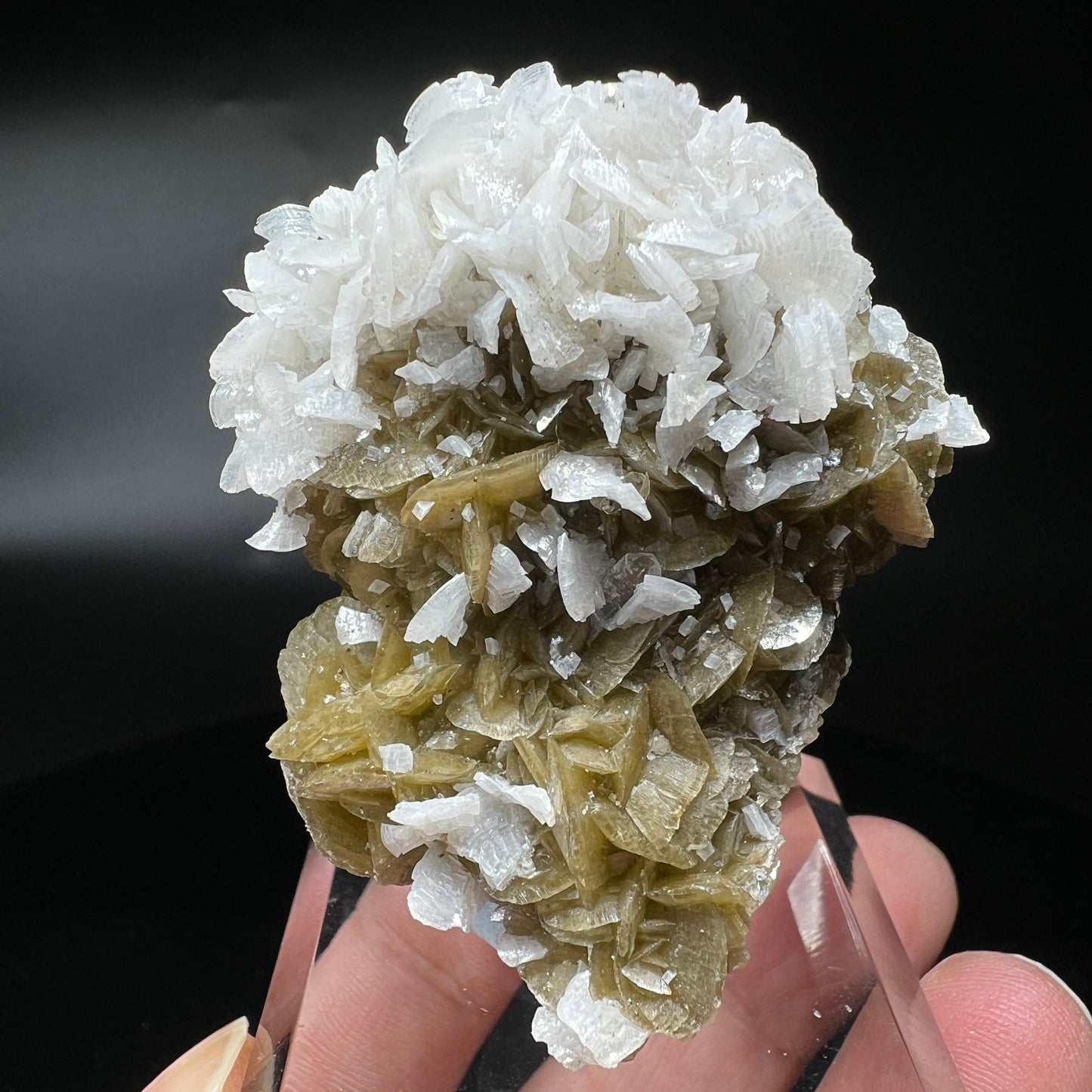 Siderite + Dolomite (Free shipping)