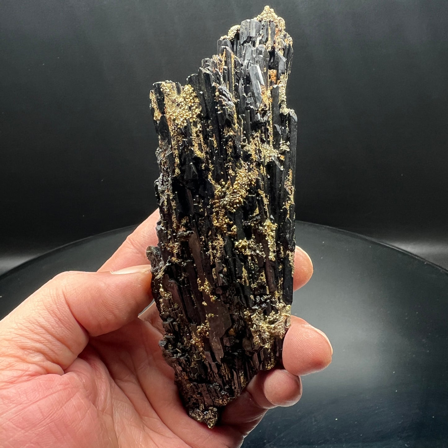 Wolframite + Pyrite (Free shipping)