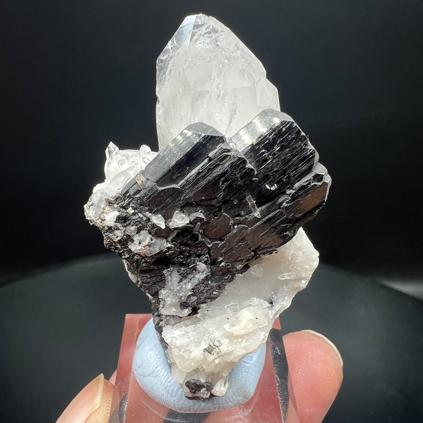Wolframite + Fluorite + Quartz (Free shipping)