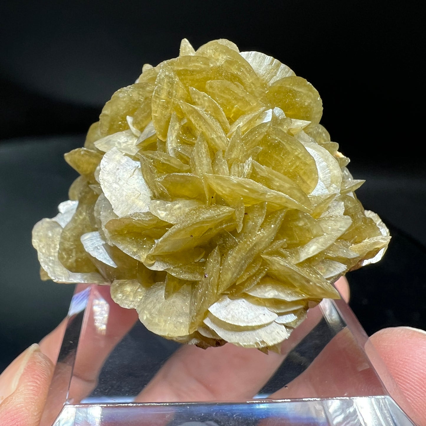 Siderite + Dolomite (Free shipping)