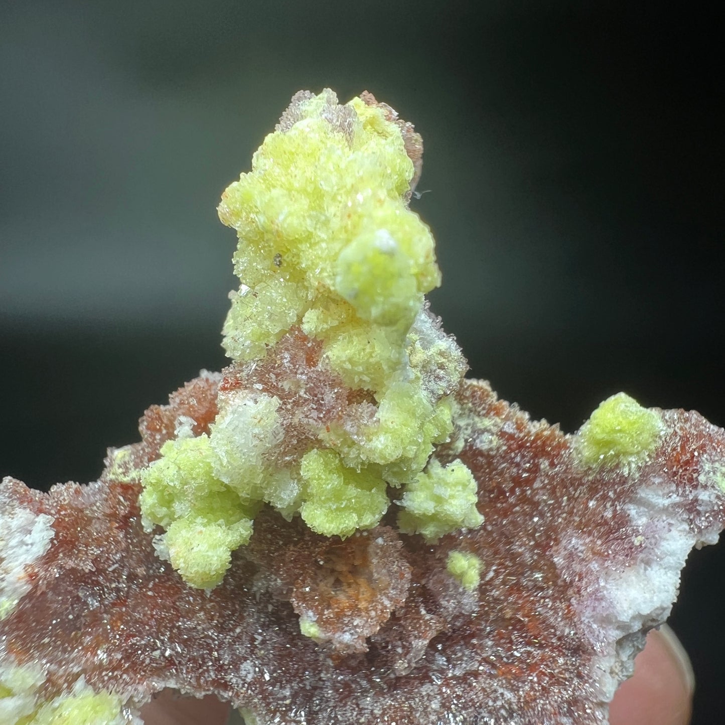 Carlhintzeite + Creedite (Free shipping)