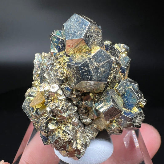 Pyrite + Siderite (Free shipping)