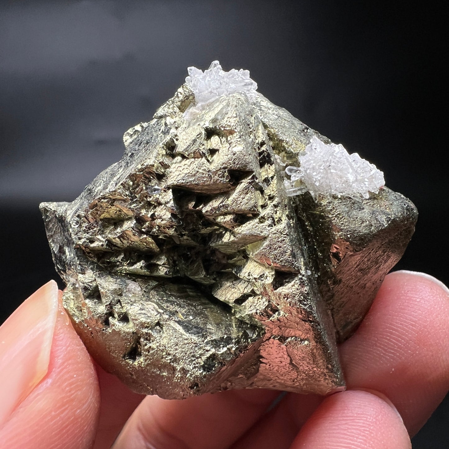 Chalcopyrite + Quartz (Free shipping)