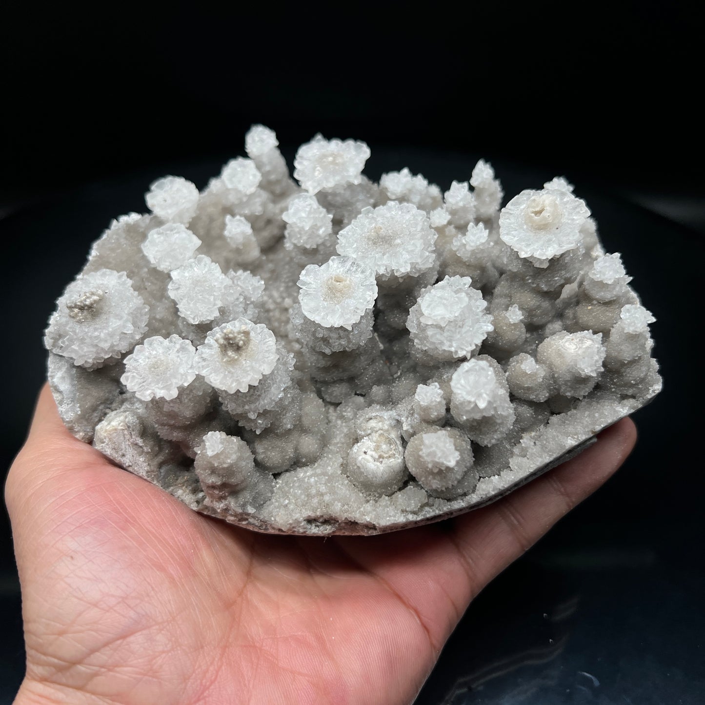 Flowers jungle Calcite (Free shipping)