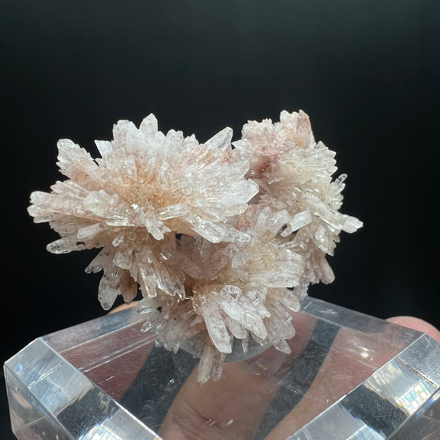 Floater Creedite (Free shipping worldwide)