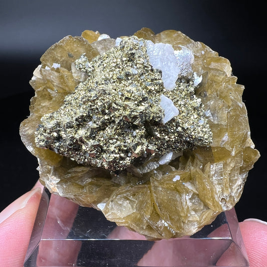 Chalcopyrite cover Tetrahedrite + Dolomite + Siderite (Free shipping)