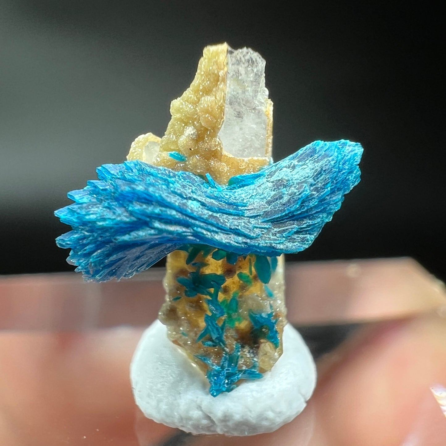 Bows Veszelyite (Free shipping)