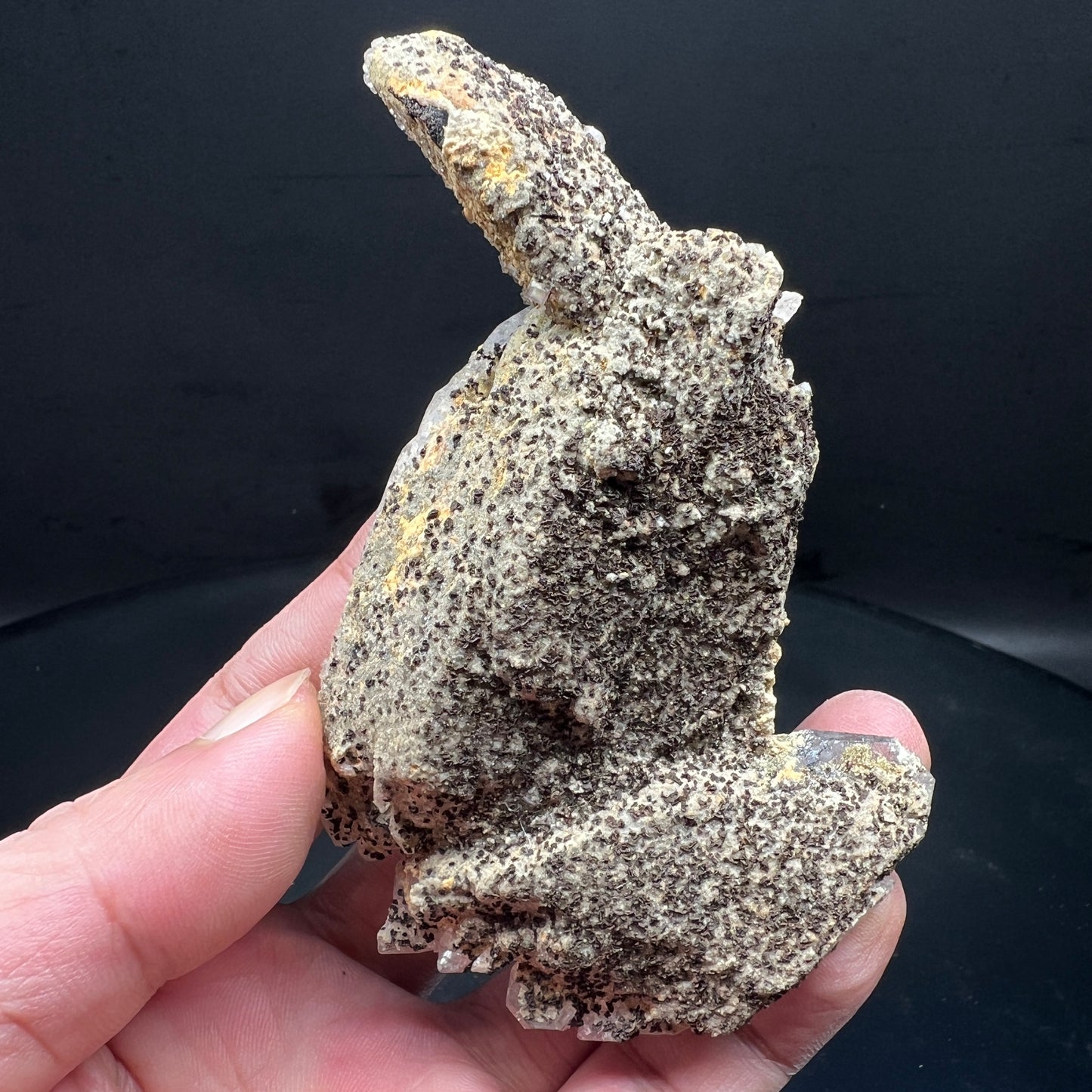 Floater Wolframite + Quartz (Free shipping)