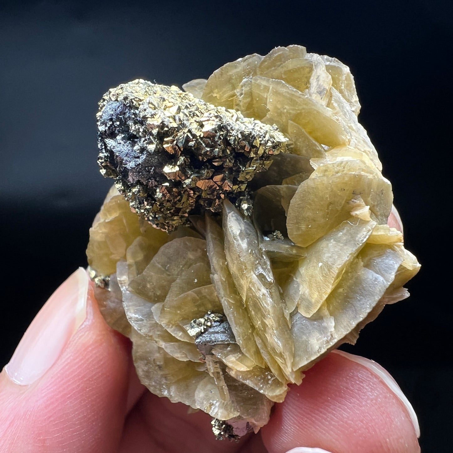 Tetrahedrite + Chalcopyrite + Siderite (Free shipping)