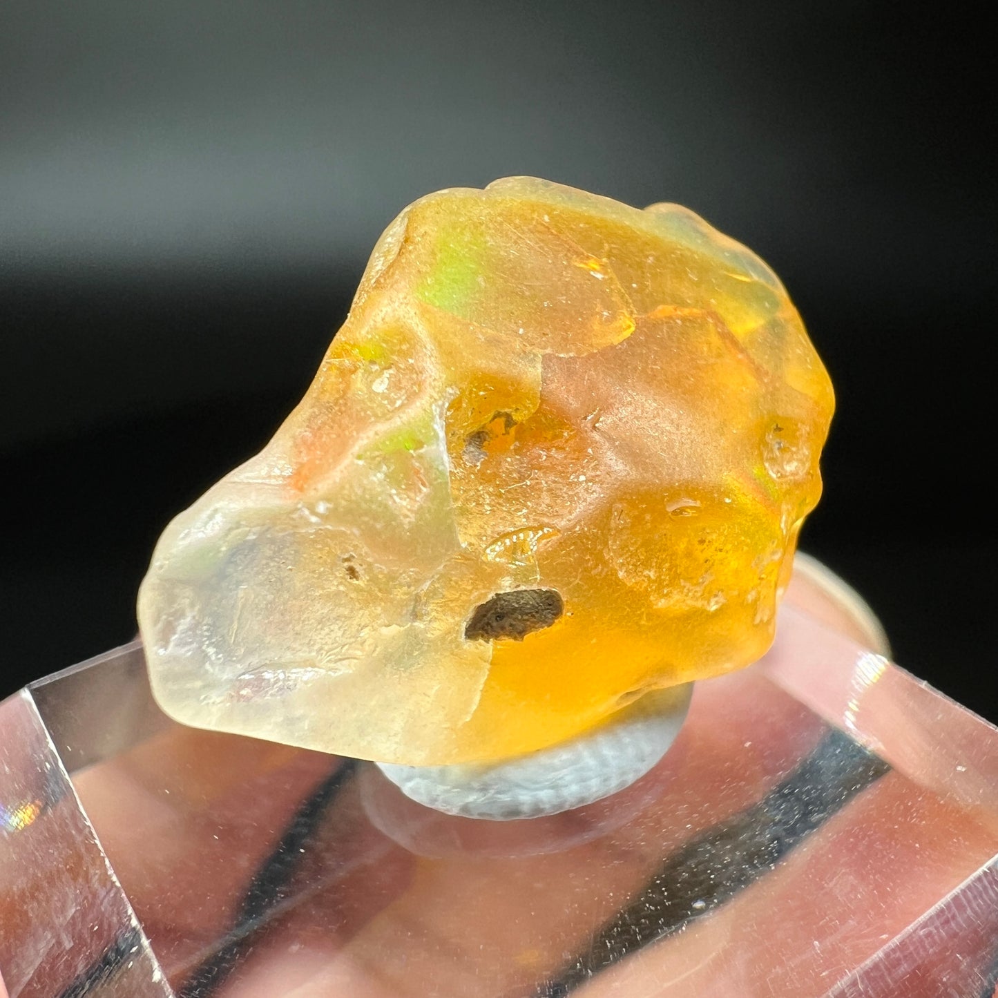 Opal (Free shipping)