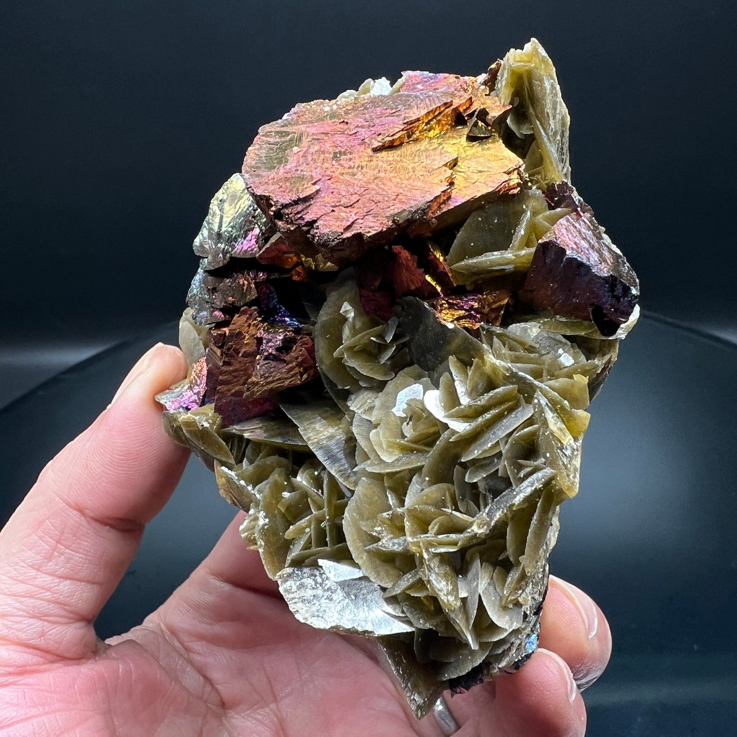 Chalcopyrite + Siderite (Free shipping)