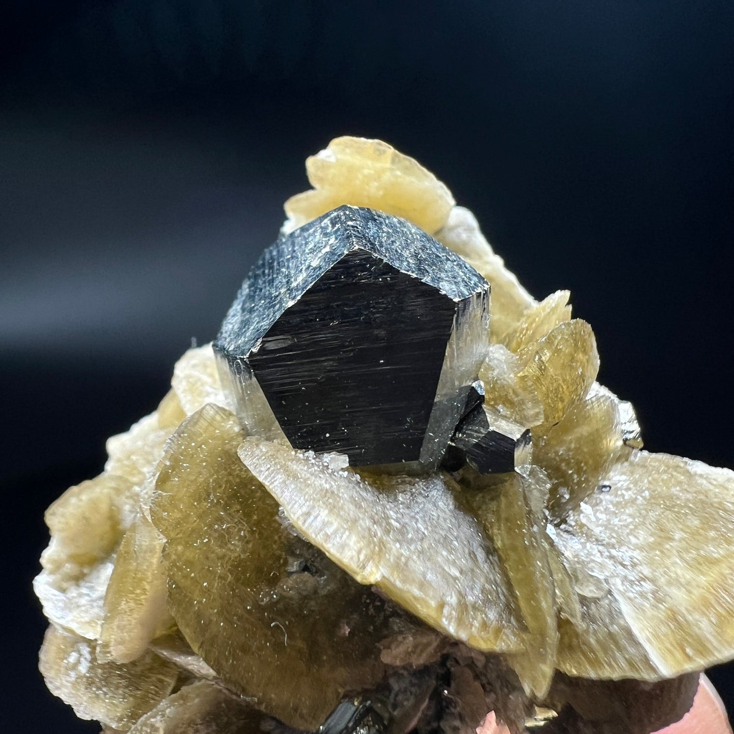 Pyrite + Siderite (Free shipping)