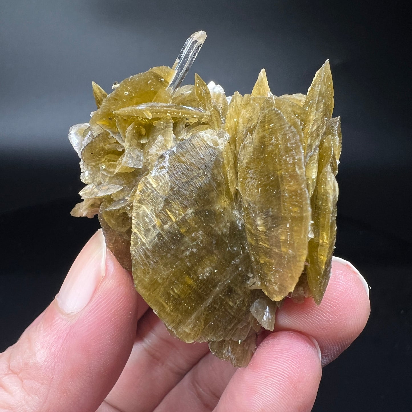 Siderite + Quartz (Free shipping)