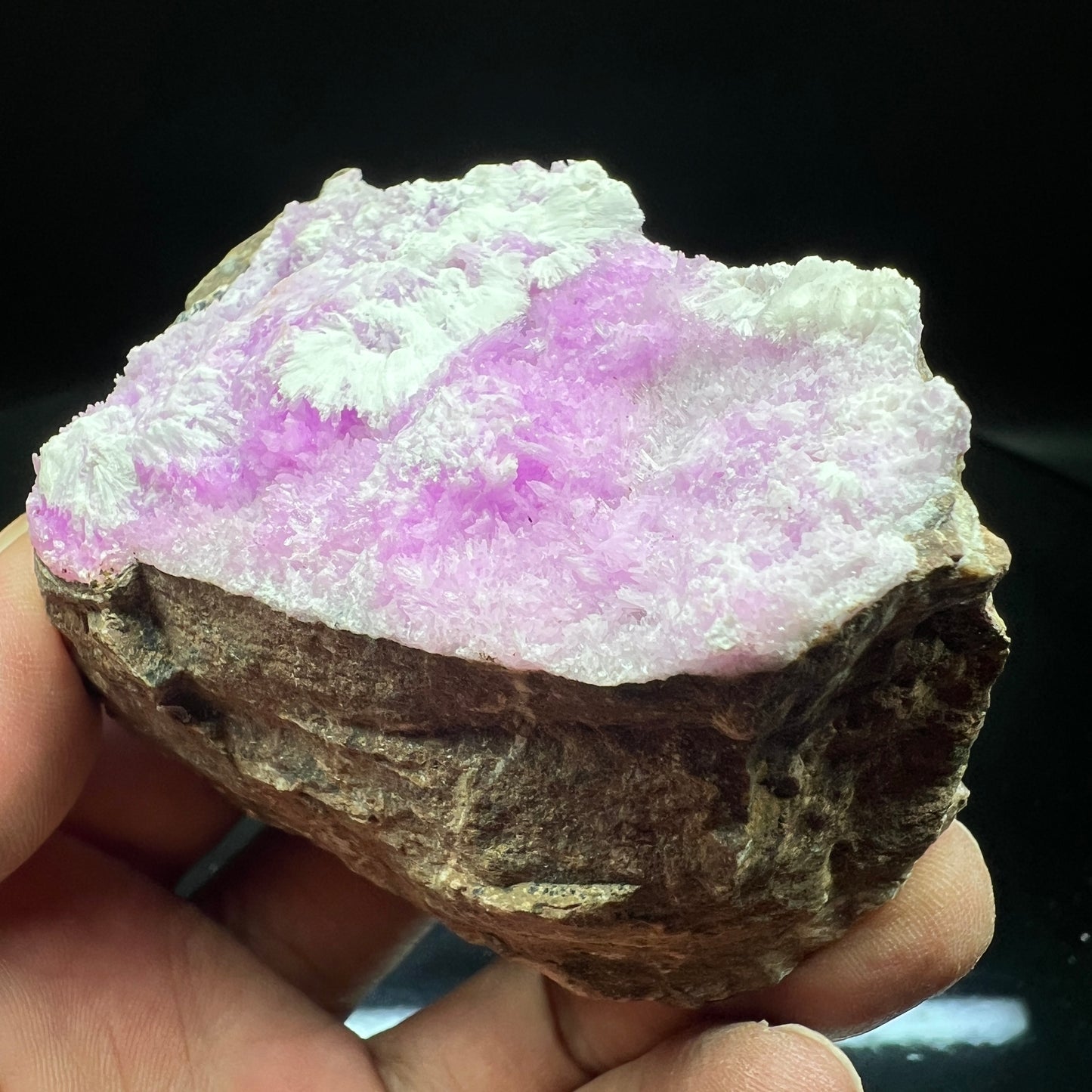 Aragonite (Free shipping)