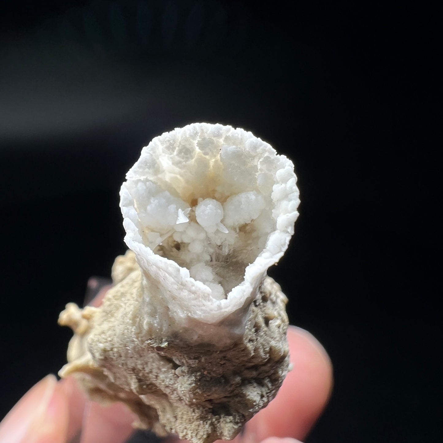 Goblet Aragonite (Free shipping)