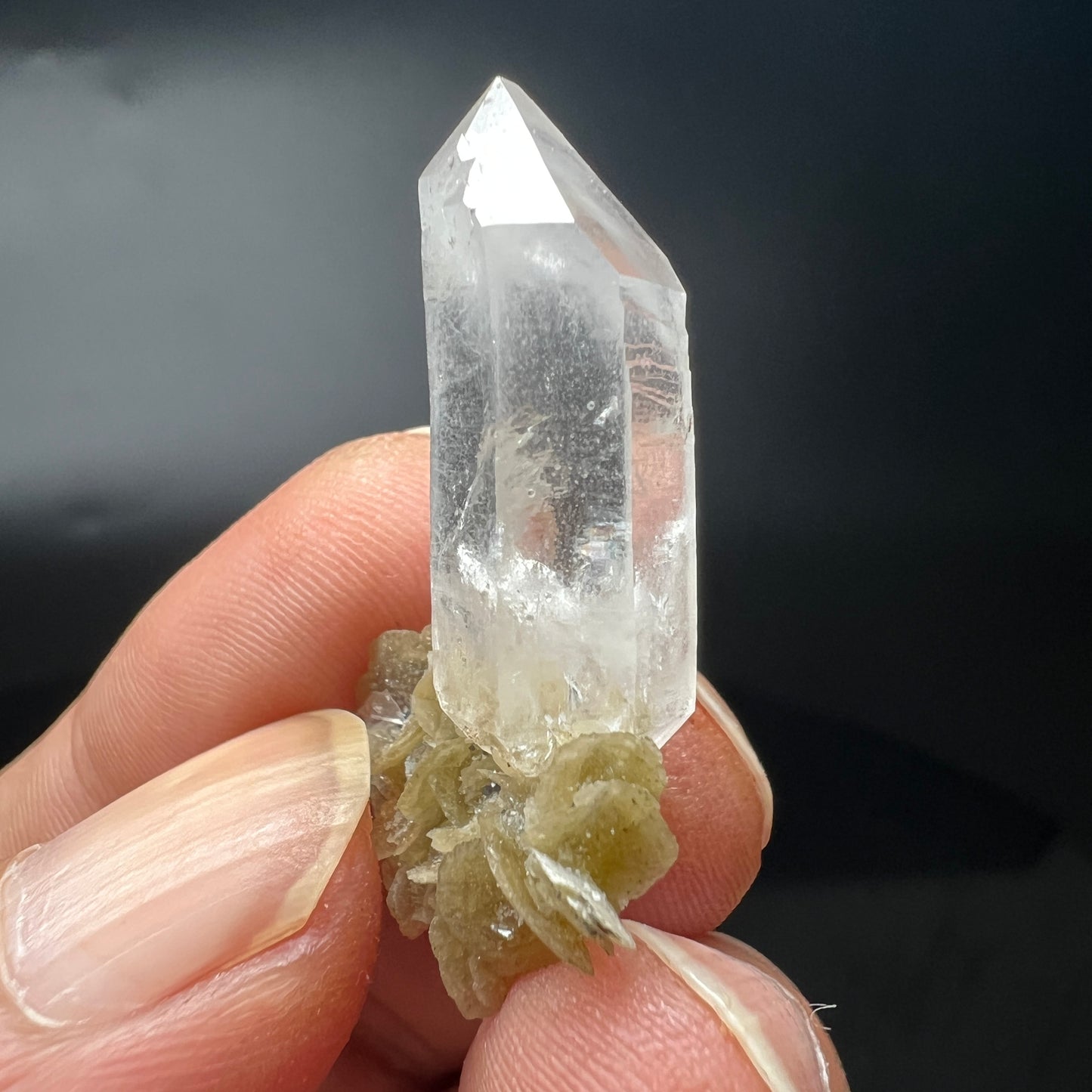 Floater Quartz + Siderite (Free shipping)