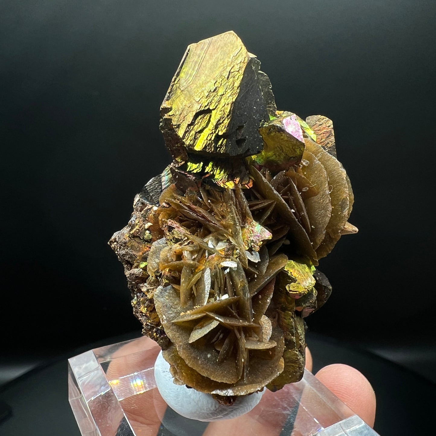 Chalcopyrite + Tetrahedrite + Siderite (Free shipping)