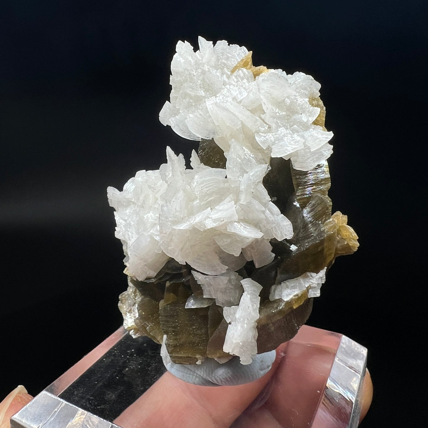 Dolomite + Siderite (Free shipping)