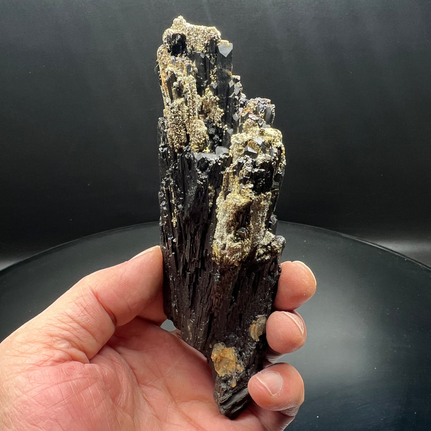 Wolframite + Pyrite (Free shipping)