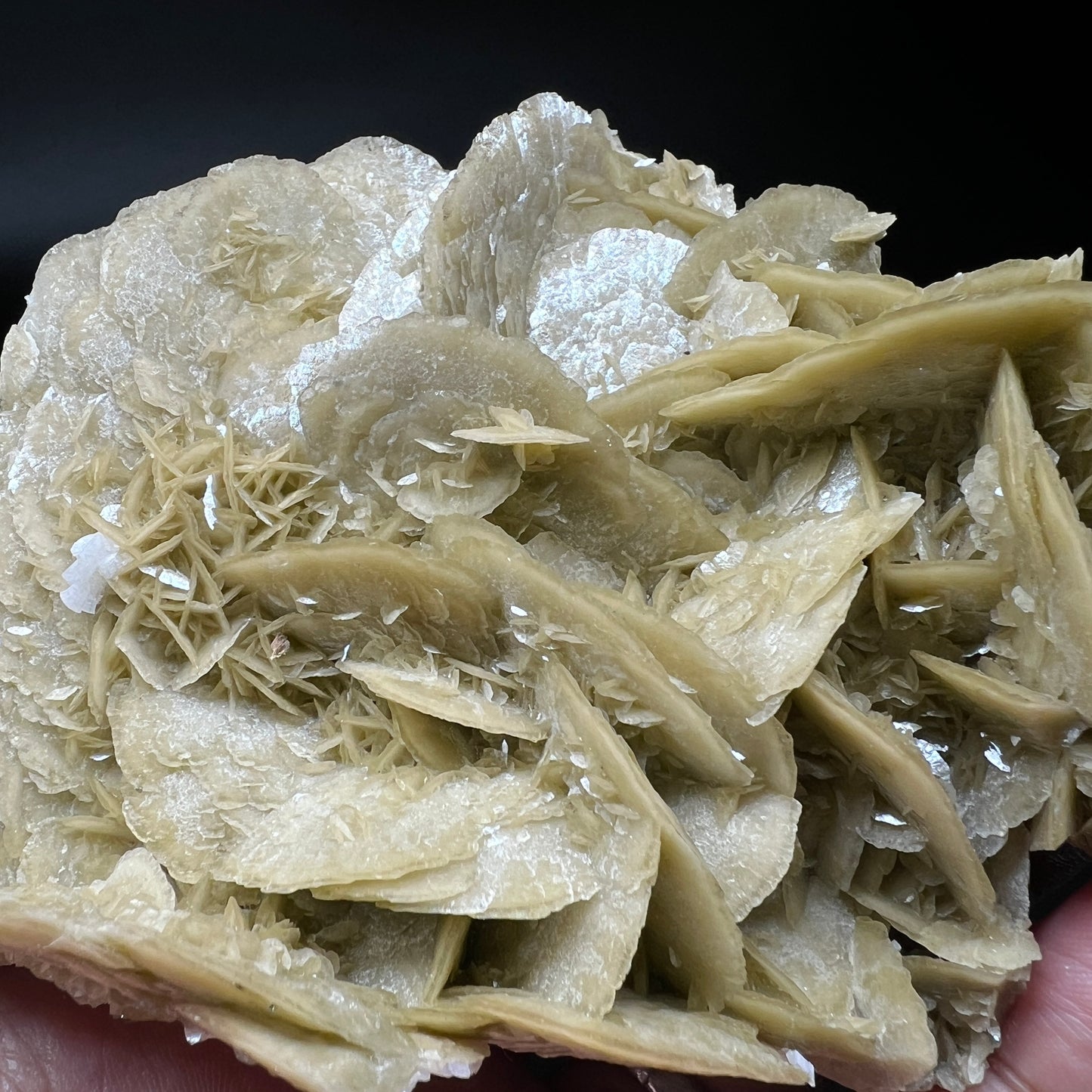 Siderite (Free shipping)