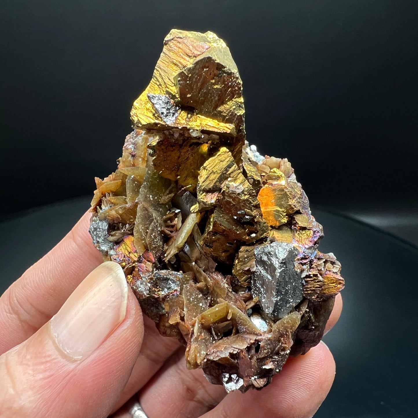 Chalcopyrite + Tetrahedrite + Siderite (Free shipping)