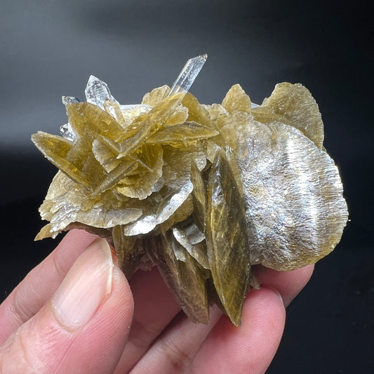 Siderite + Quartz (Free shipping)