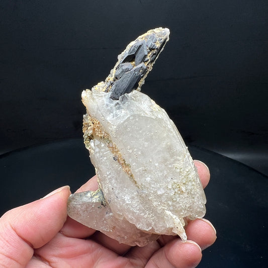 Floater Wolframite + Quartz (Free shipping)