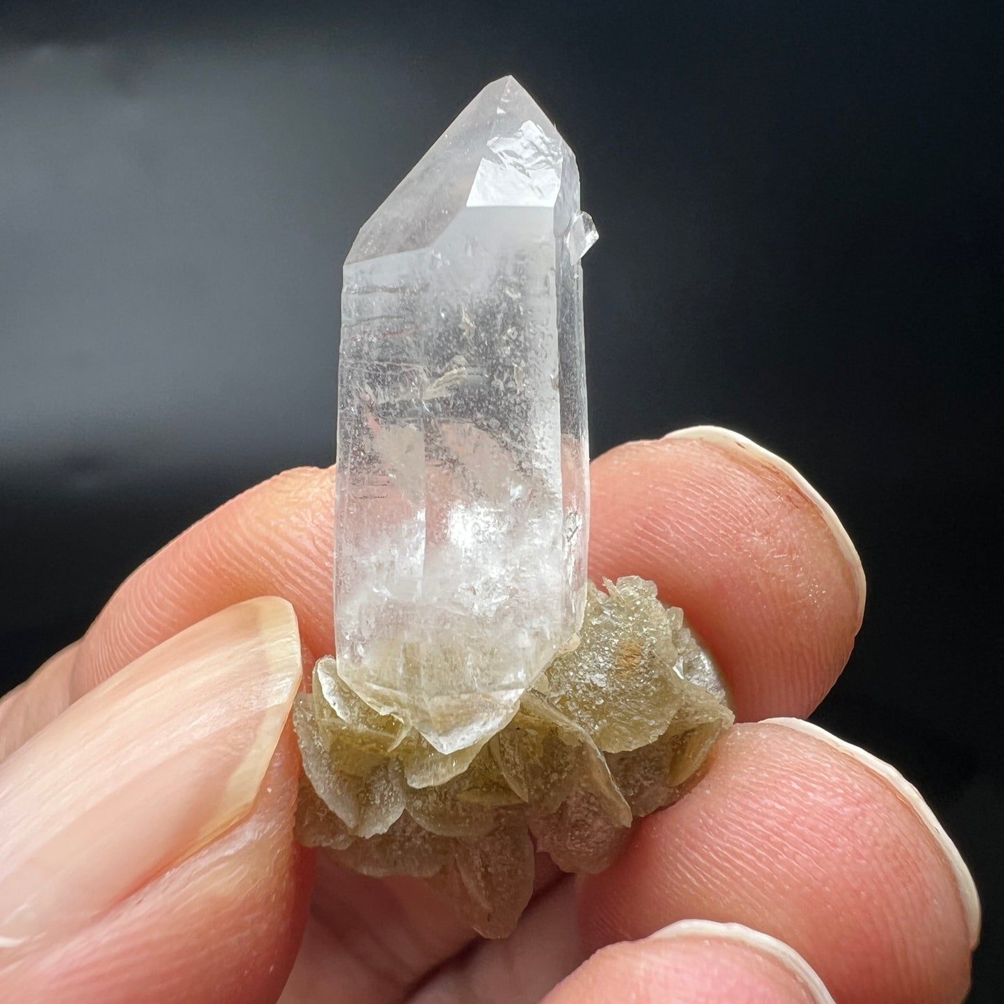 Floater Quartz + Siderite (Free shipping)