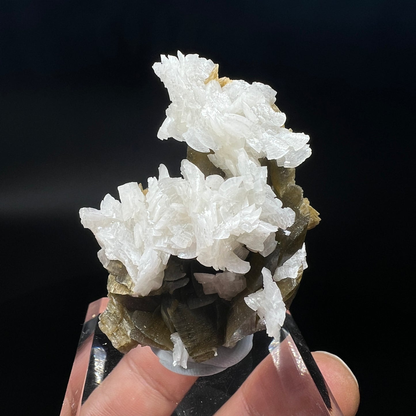 Dolomite + Siderite (Free shipping)