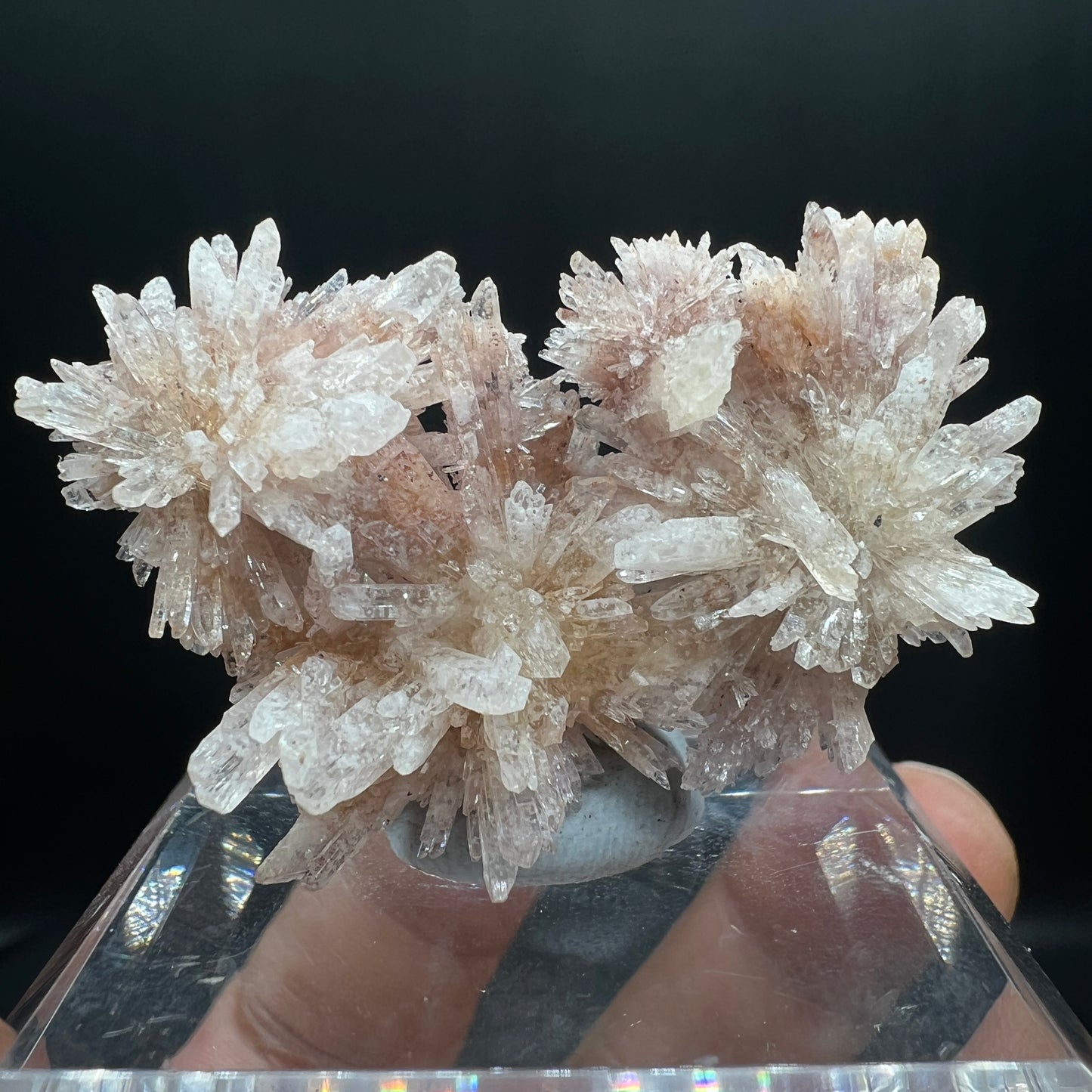 Floater Creedite (Free shipping worldwide)