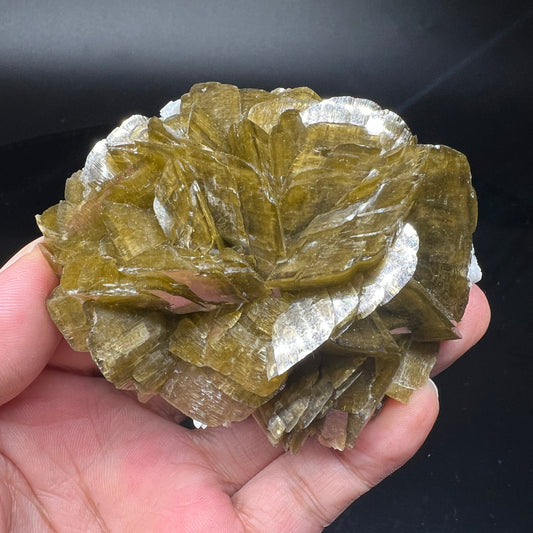 Siderite rose + Dolomite (Free shipping)