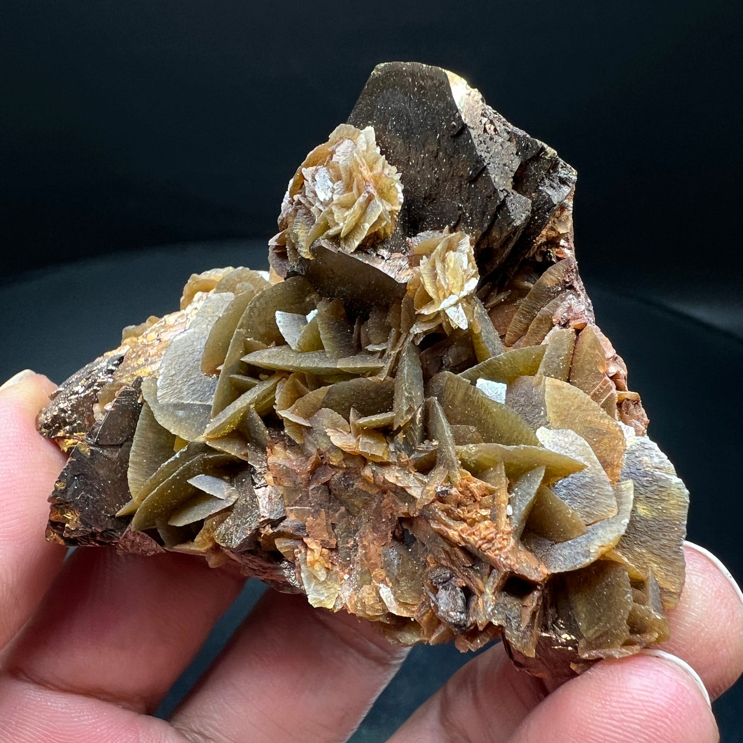 Chalcopyrite + Siderite (Free shipping)