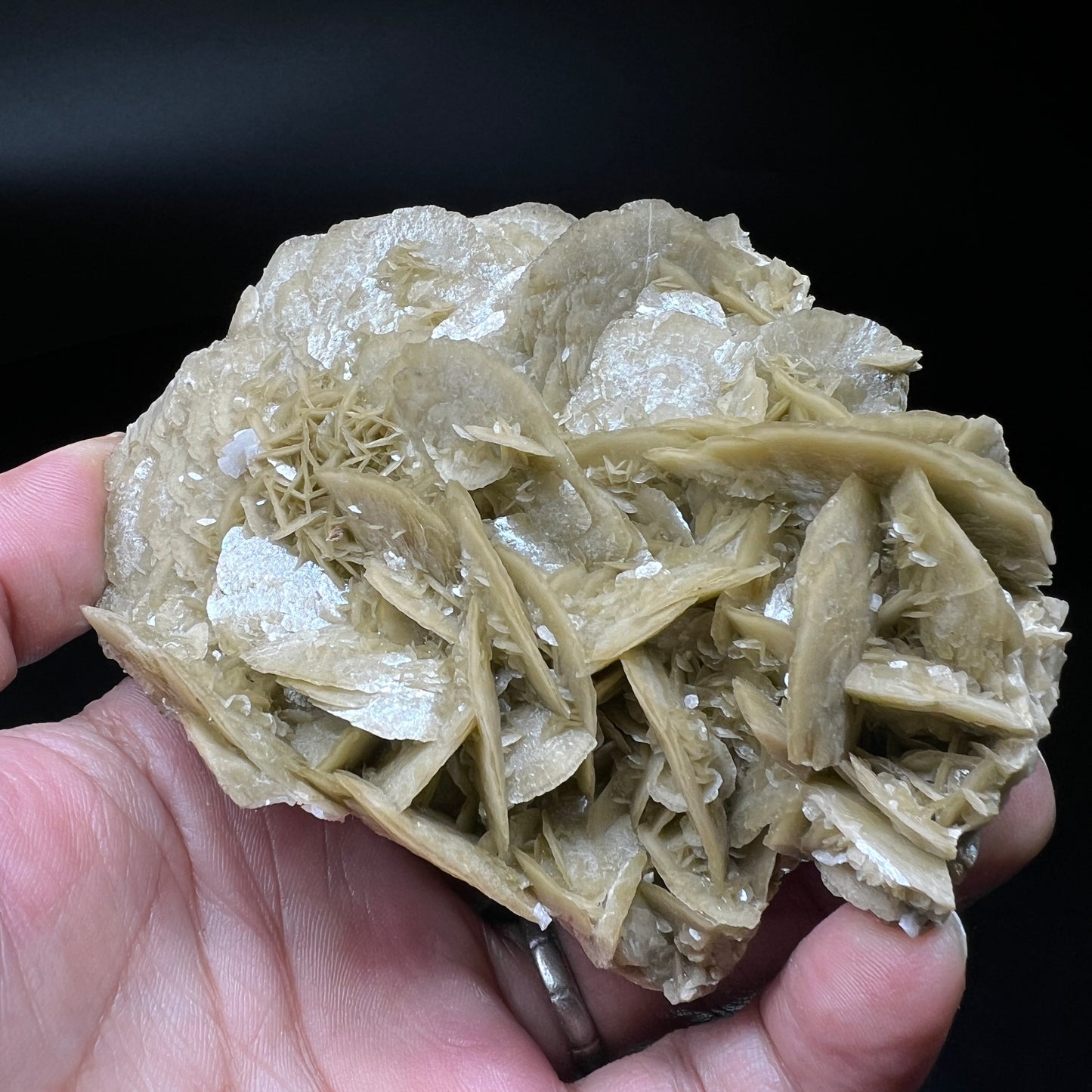 Siderite (Free shipping)