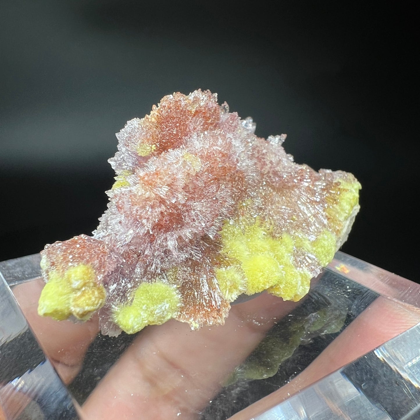 Carlhintzeite + Creedite (Free shipping)