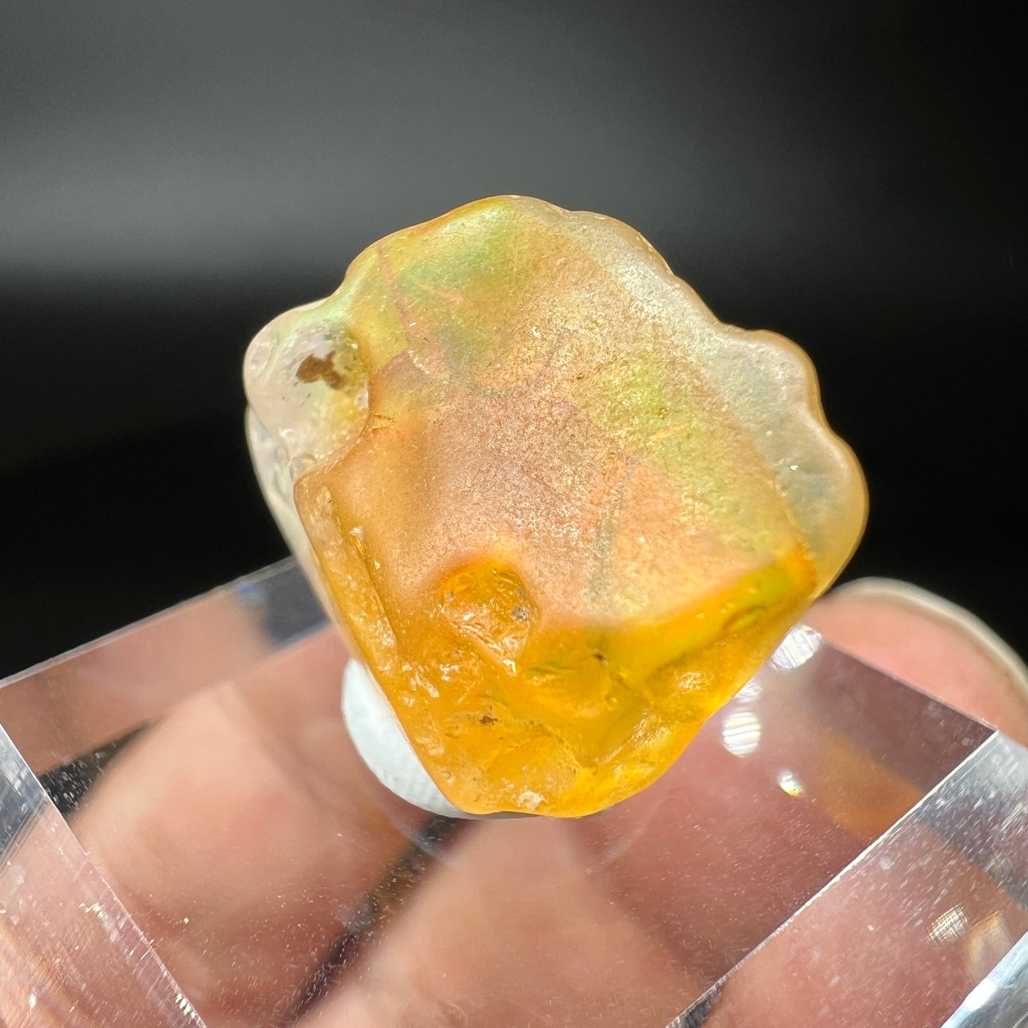Opal (Free shipping)
