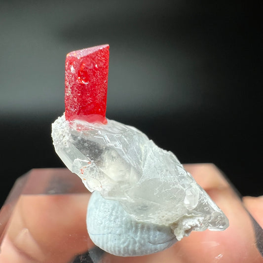 Realgar + Calcite (Free shipping)