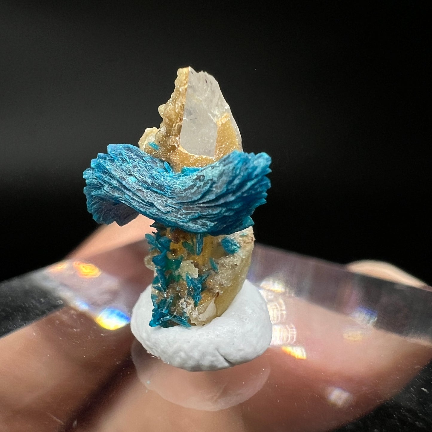 Bows Veszelyite (Free shipping)