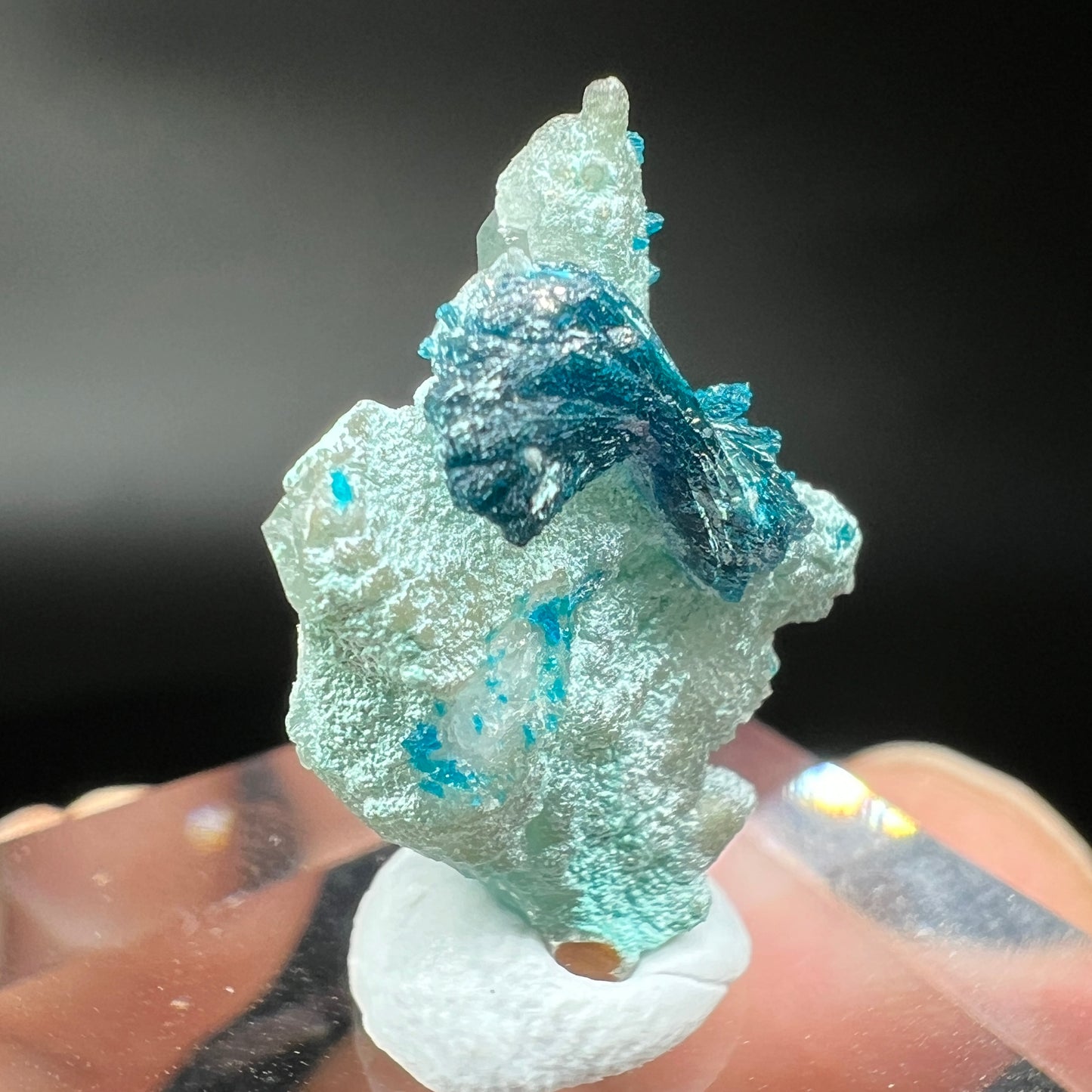 Bows Veszelyite (Free shipping)