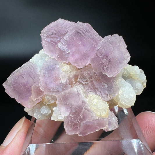 Fluorite + Quartz (Free shipping)