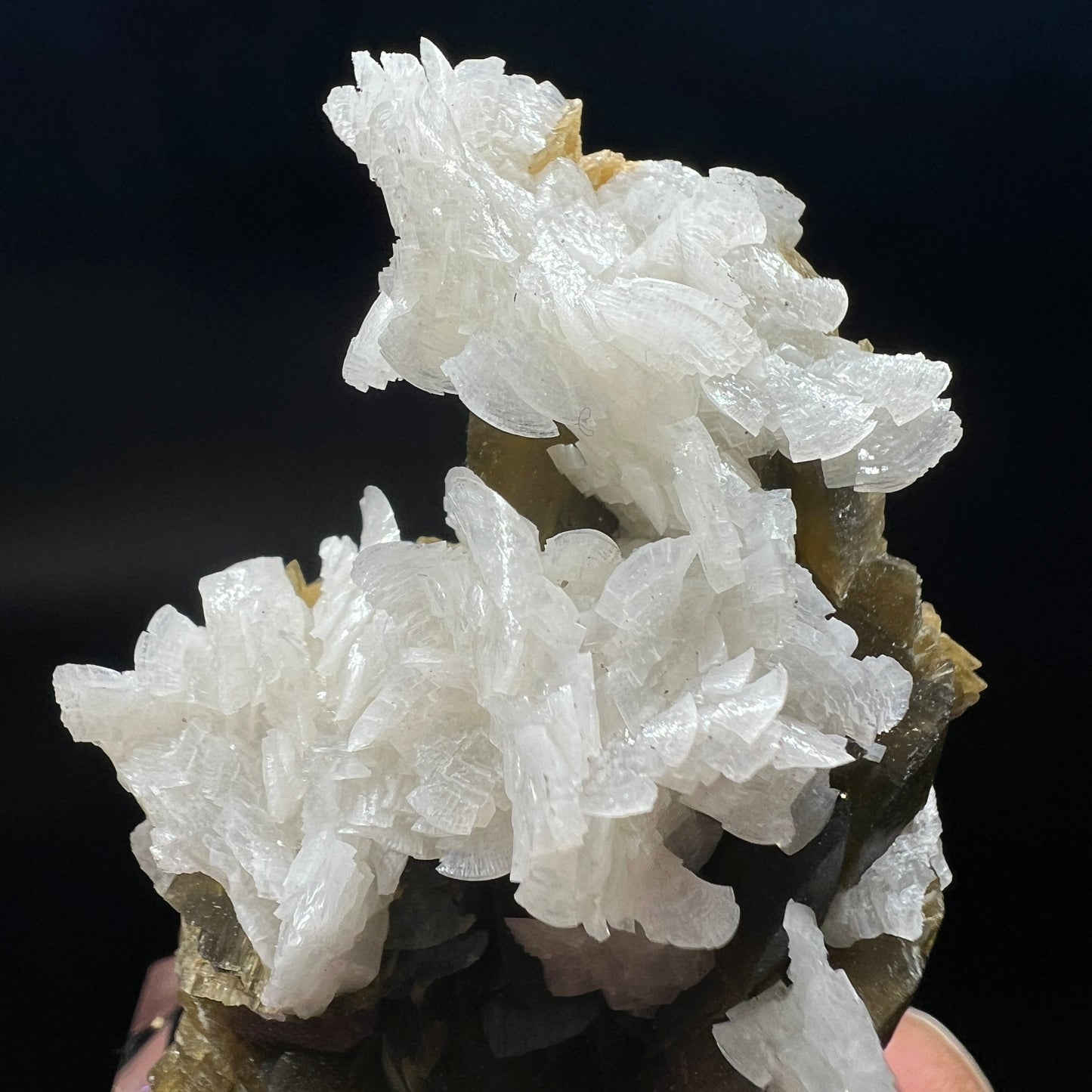 Dolomite + Siderite (Free shipping)