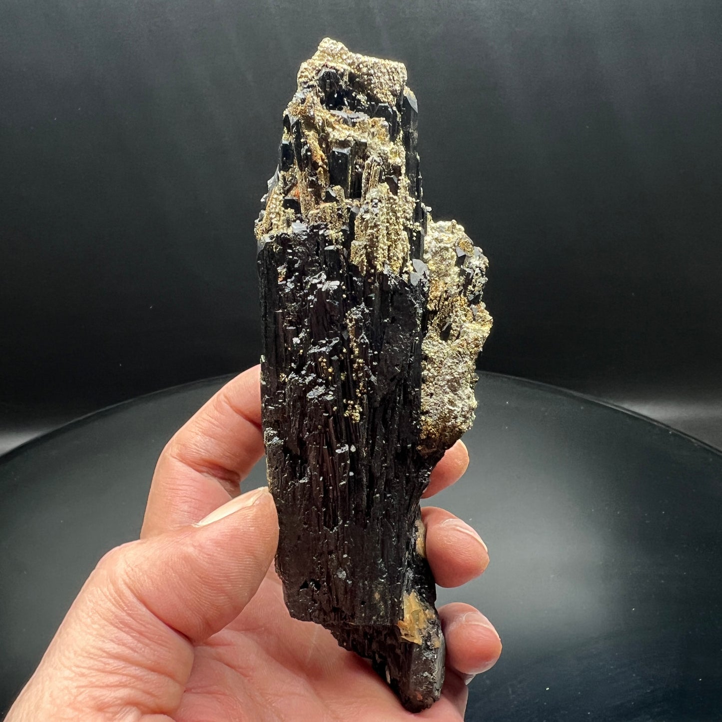 Wolframite + Pyrite (Free shipping)