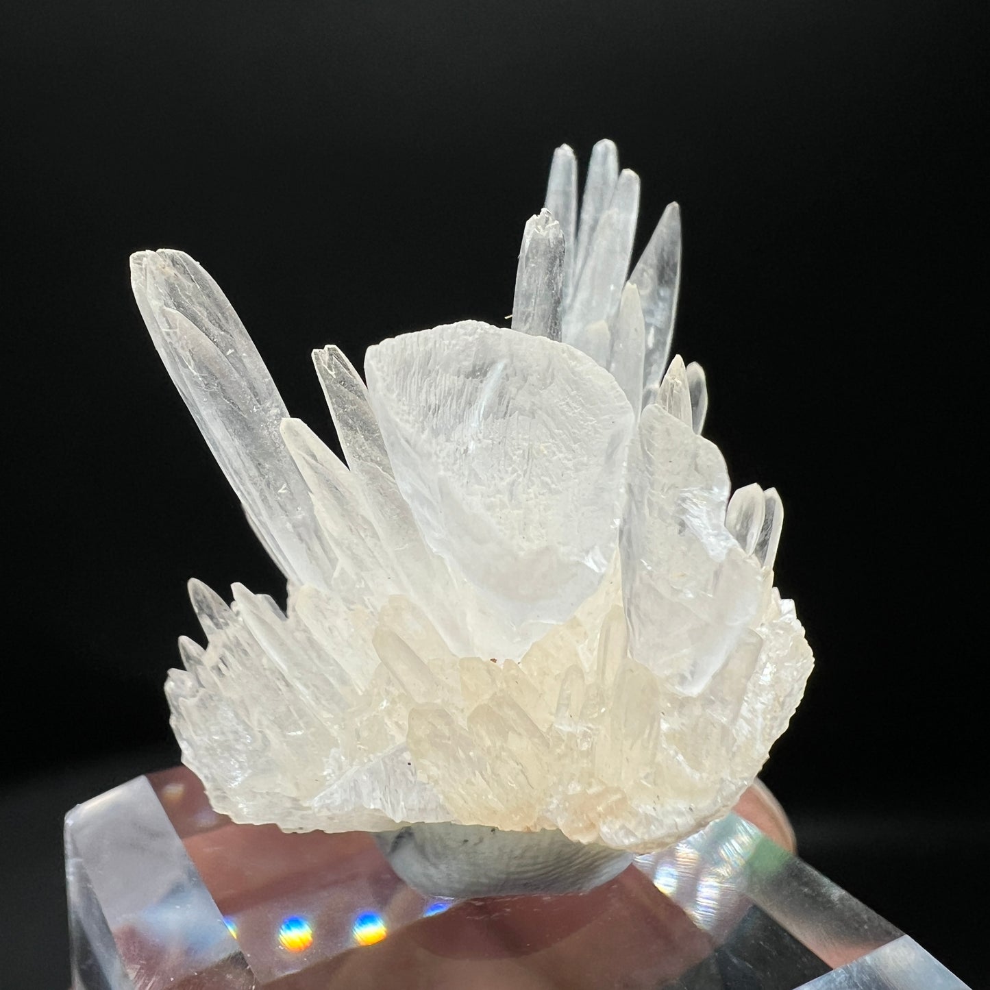 Goblet Calcite (Free shipping worldwide)