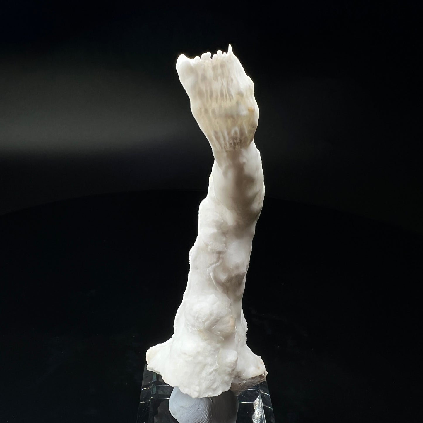 Goblet Aragonite (Free shipping)