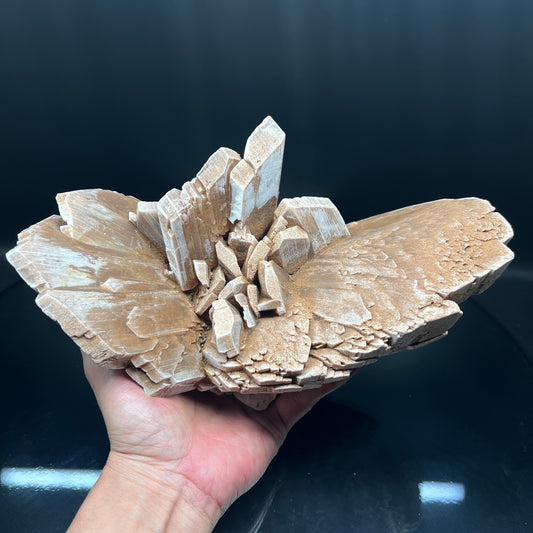 Gypsum (Free shipping)