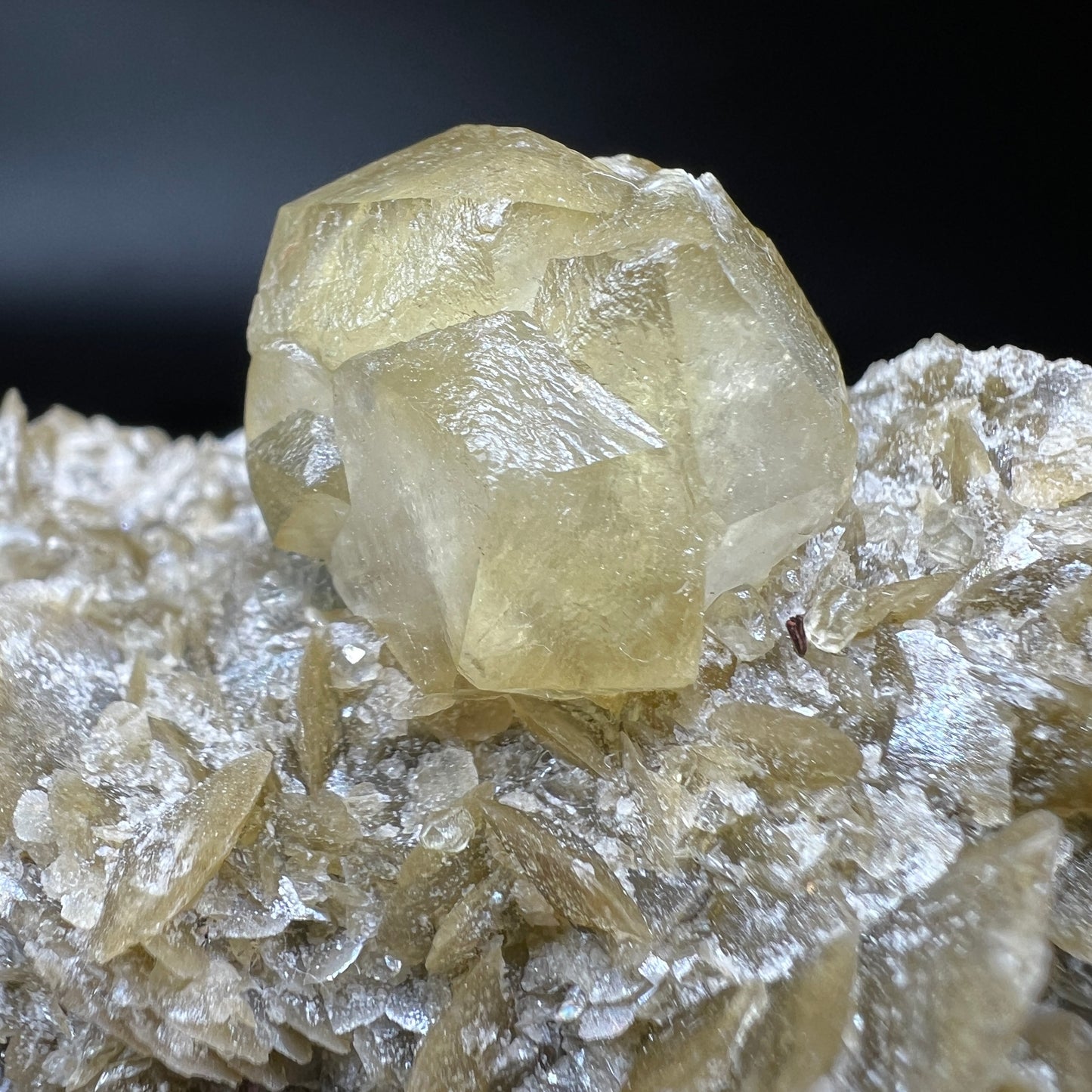 Calcite + Chalcopyrite + Siderite (Free shipping)