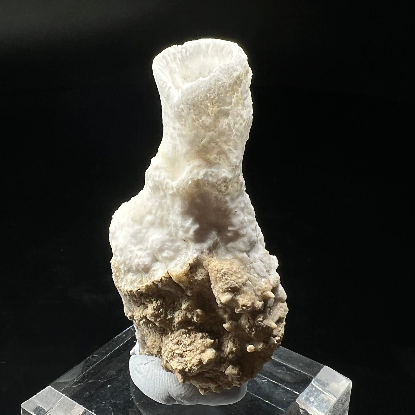 Goblet Aragonite (Free shipping)