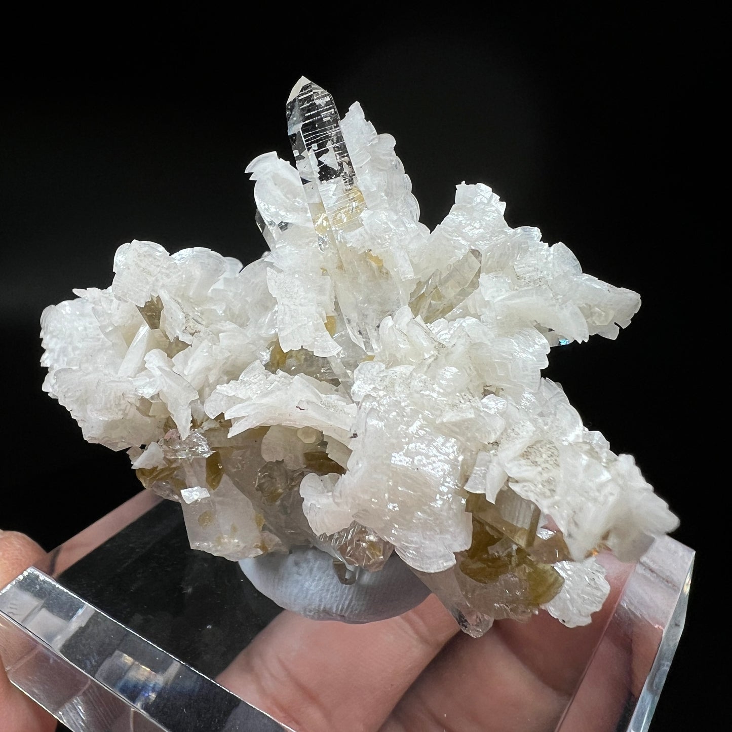 Dolomite + Quartz + Siderite (Free shipping)