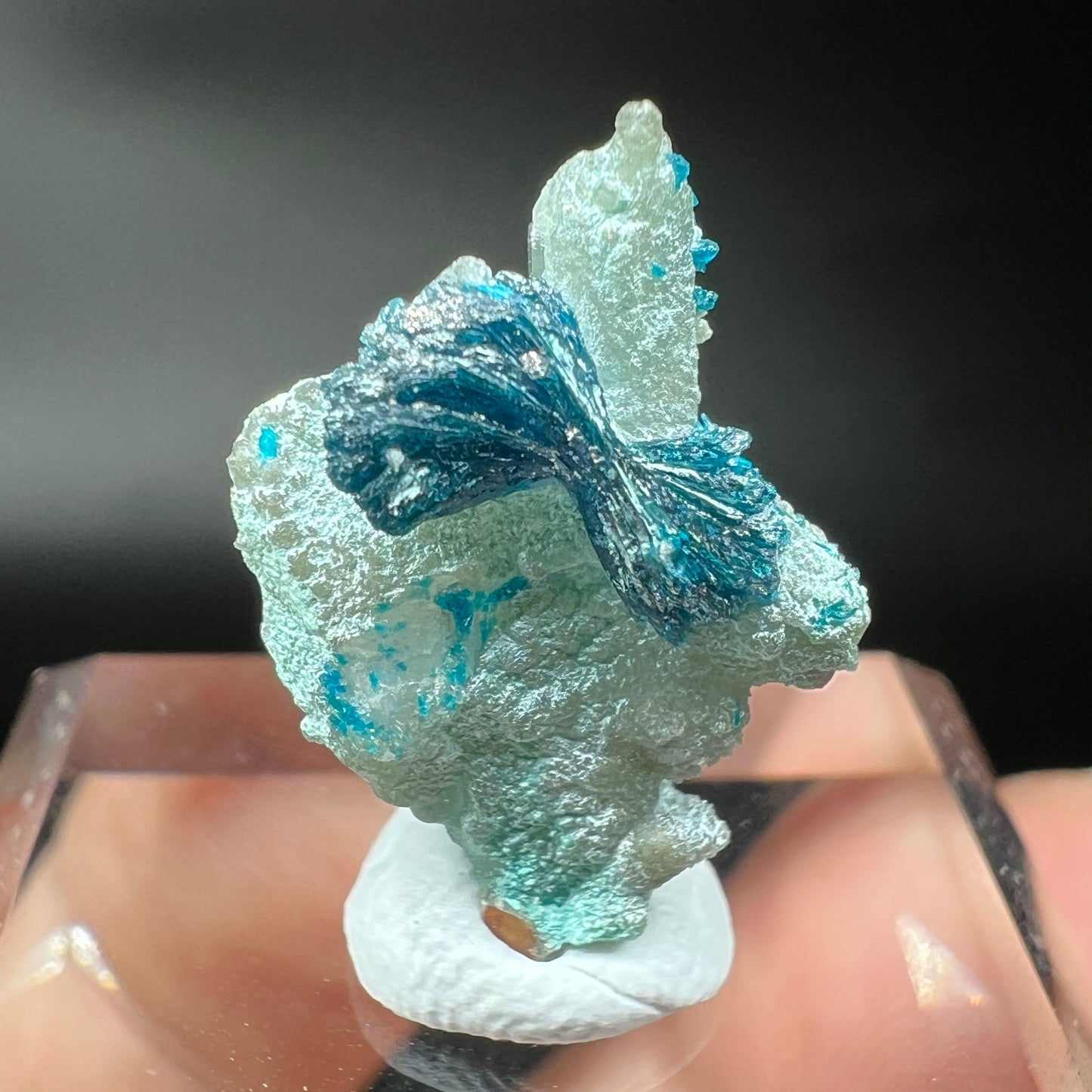 Bows Veszelyite (Free shipping)