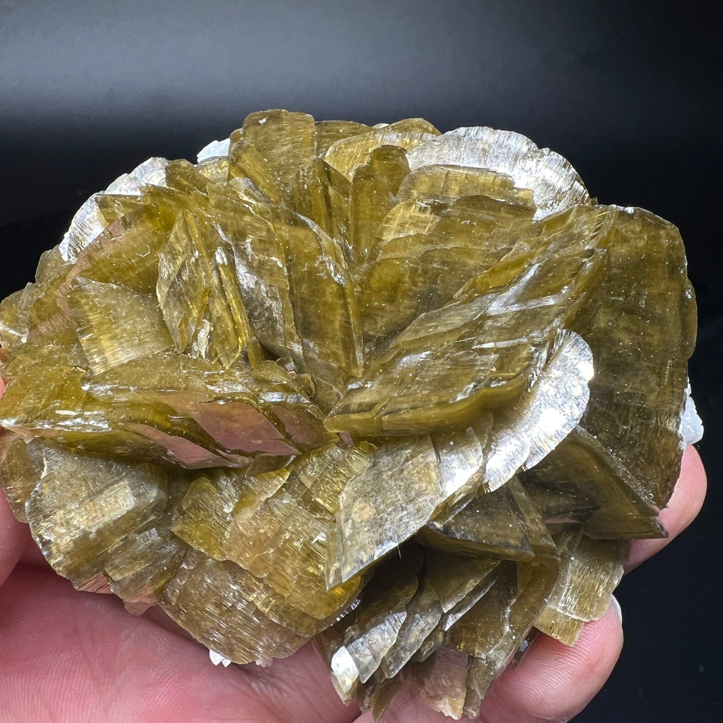 Siderite rose + Dolomite (Free shipping)
